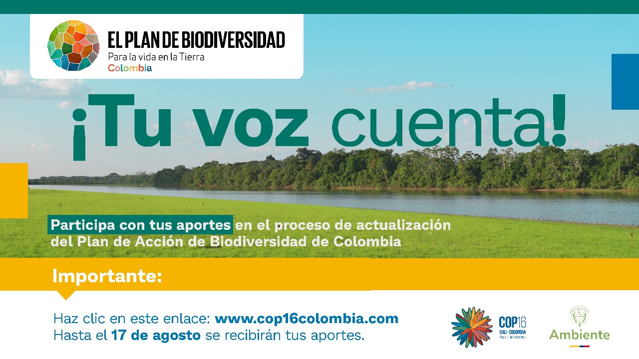 COP16: Aún puede participar en la construcción del Plan de Acción de Biodiversidad de Colombia COP16: Aún puede participar en la construcción del Plan de Acción de Biodiversidad de Colombia