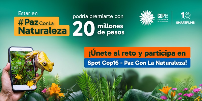 Convocatoria abierta: El festival de cine hecho con celulares llega a la COP16 Convocatoria abierta: El festival de cine hecho con celulares llega a la COP16