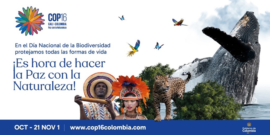 COP16: Colombia lanza llamado a hacer Paz con la Naturaleza en principales periódicos del país COP16: Colombia lanza llamado a hacer Paz con la Naturaleza en principales periódicos del país