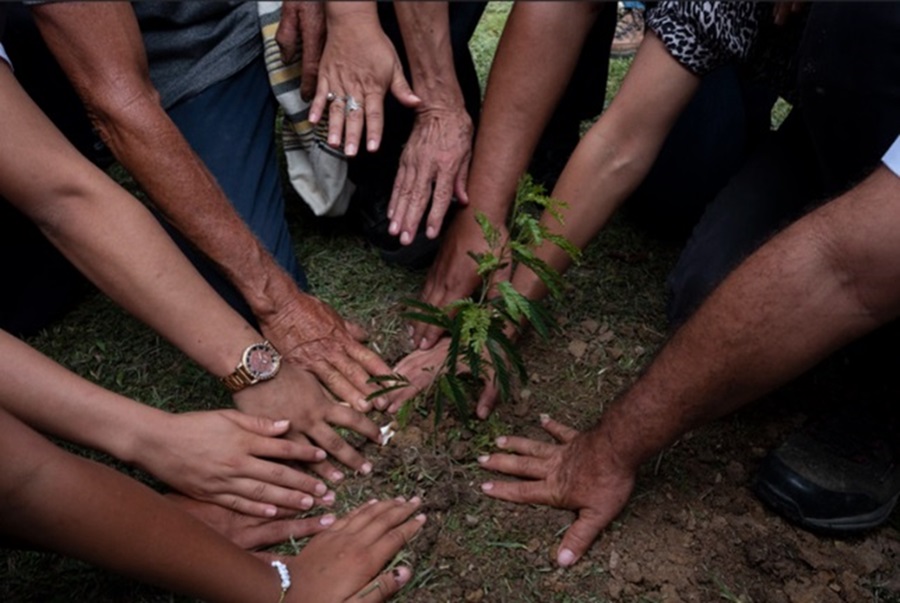 La naturaleza y sus defensores no pueden ser un botín de guerra La naturaleza y sus defensores no pueden ser un botín de guerra