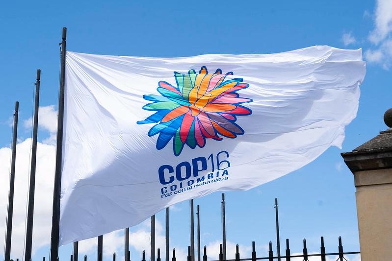 En Colombia ya se ondean las banderas de Naciones Unidas y la COP16 En Colombia ya se ondean las banderas de Naciones Unidas y la COP16