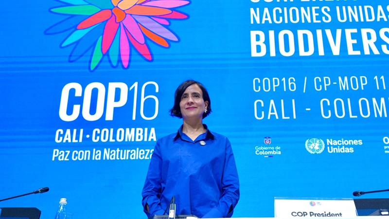 Susana Muhamad, primera colombiana en ser presidenta de una COP Susana Muhamad, primera colombiana en ser presidenta de una COP