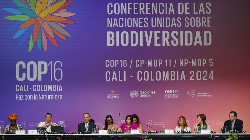 Parlamentarios del mundo lanzan declaratoria para la protección de la biodiversidad en la COP16 Parlamentarios del mundo lanzan declaratoria para la protección de la biodiversidad en la COP16