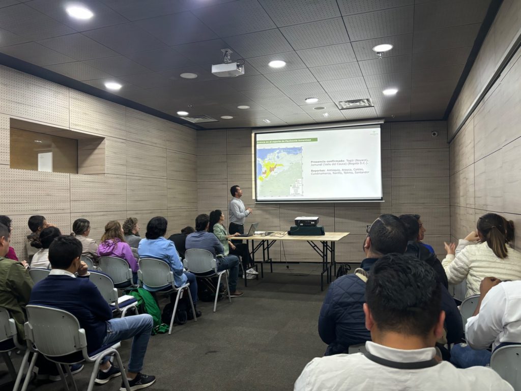 Minambiente lidera proceso de consolidación de herramientas para el manejo y control de la especie exótica invasora Paulownia tomentosa en el territorio nacional