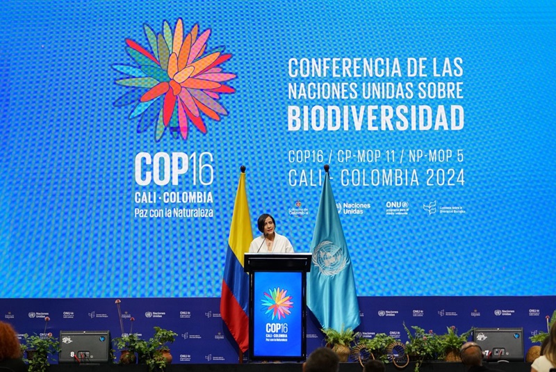 COP16 histórica: Con un gran acto inaugural Colombia recibe al mundo COP16 histórica: Con un gran acto inaugural Colombia recibe al mundo