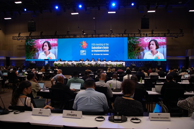 COP16: En Colombia, delegaciones del mundo hacen balance sobre el Marco de Biodiversidad COP16: En Colombia, delegaciones del mundo hacen balance sobre el Marco de Biodiversidad