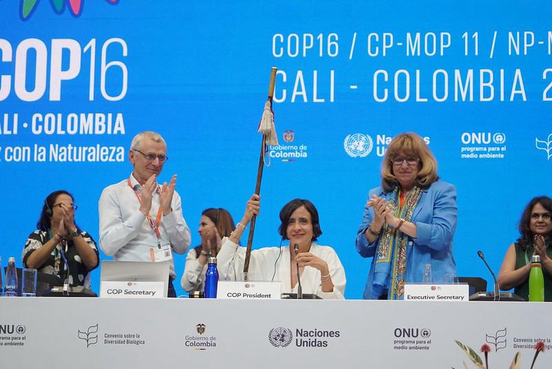 La COP16 superó todos los pronósticos: Estos son los logros históricos que alcanzó La COP16 superó todos los pronósticos: Estos son los logros históricos que alcanzó