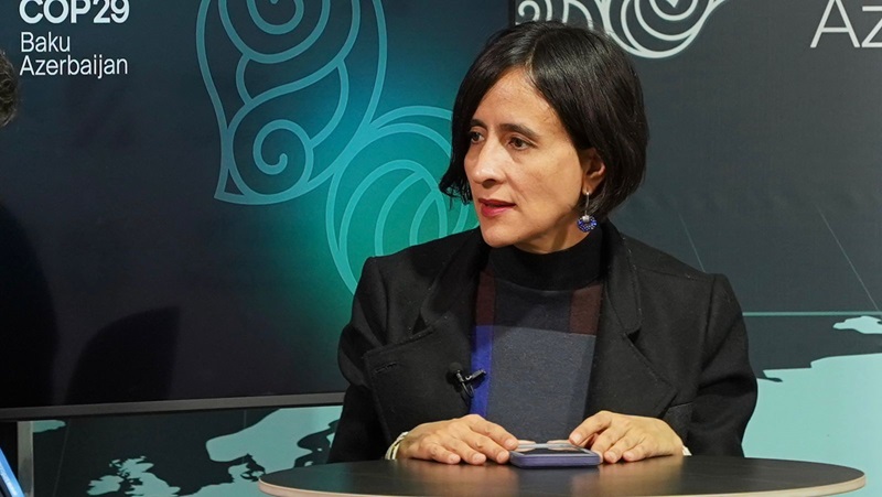 COP16: logros históricos y la hoja de ruta hacia 2025 COP16: logros históricos y la hoja de ruta hacia 2025