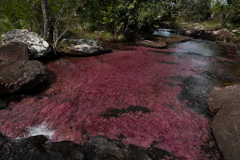 En vacaciones: turismo sostenible para proteger la biodiversidad y fomentar el desarrollo de las comunidades locales En vacaciones: turismo sostenible para proteger la biodiversidad y fomentar el desarrollo de las comunidades locales