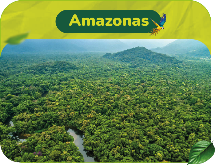 AMAZONAS
