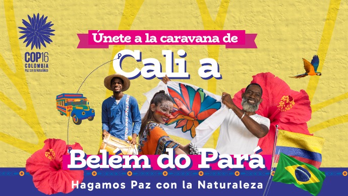Arranca la Caravana de Cali a Belém: Proteger la biodiversidad y enfrentar la crisis climática Arranca la Caravana de Cali a Belém: Proteger la biodiversidad y enfrentar la crisis climática