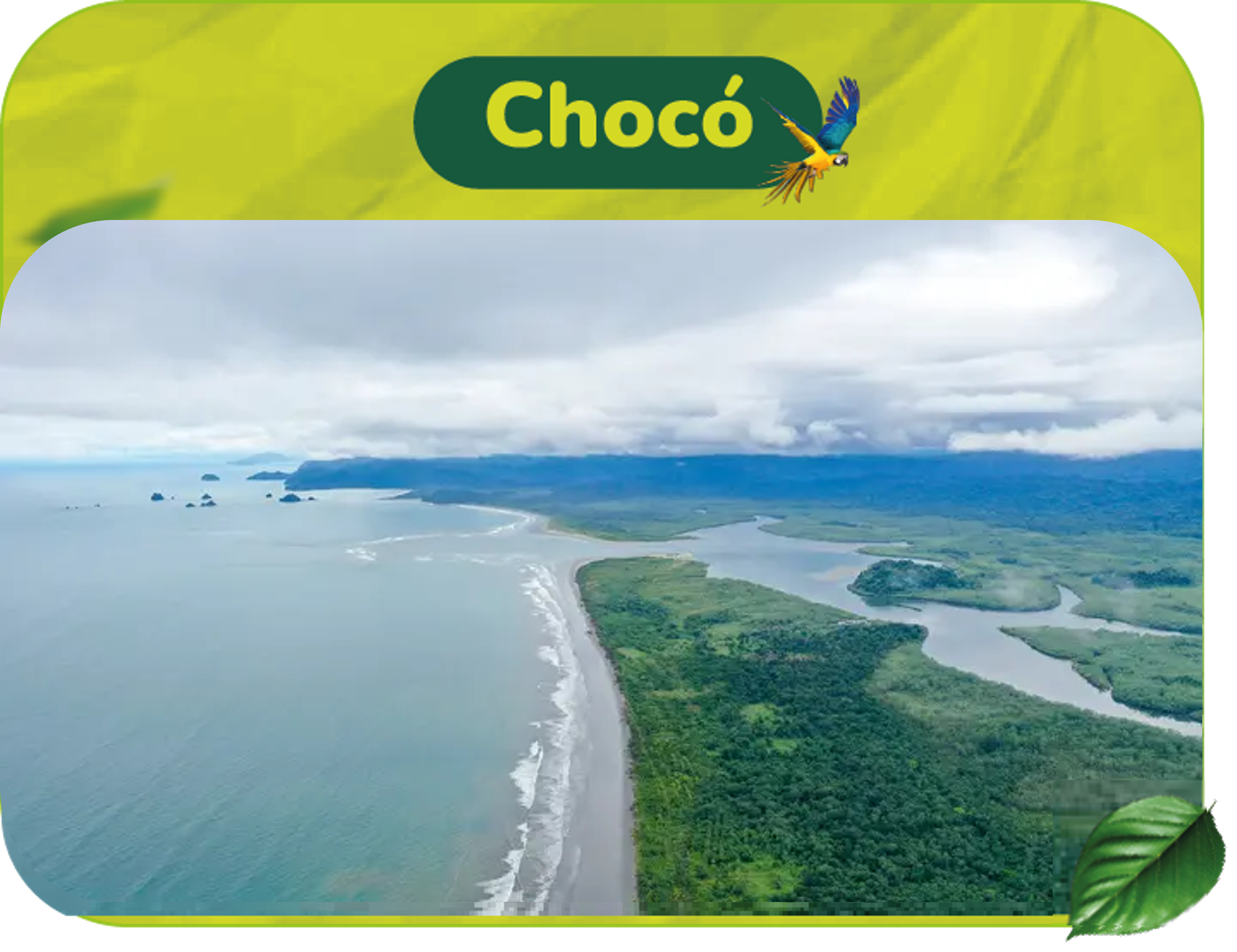 Choco