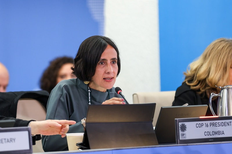 No son decisiones técnicas, son decisiones políticas: presidenta de la COP16 en Roma No son decisiones técnicas, son decisiones políticas: presidenta de la COP16 en Roma