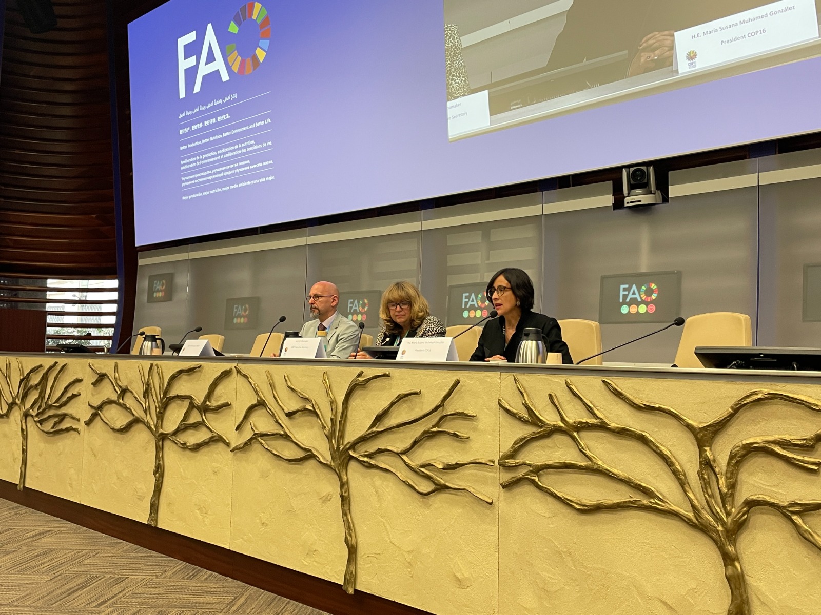 Optimismo en la reanudación de la COP16 de biodiversidad: el financiamiento como objetivo clave Optimismo en la reanudación de la COP16 de biodiversidad: el financiamiento como objetivo clave