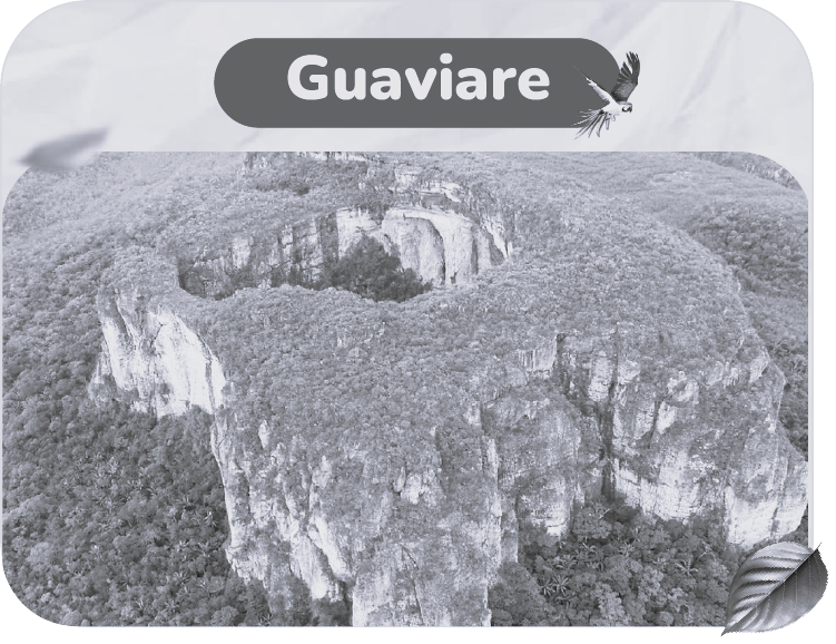 GUAVIARE