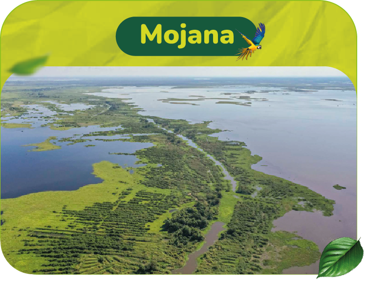MOJANA