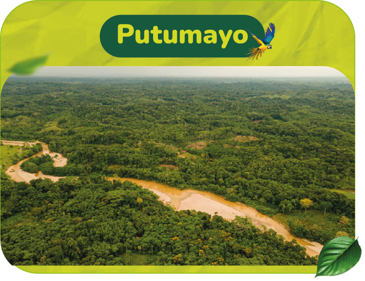 PUTUMAYO