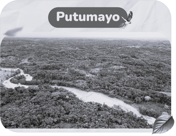 PUTUMAYO