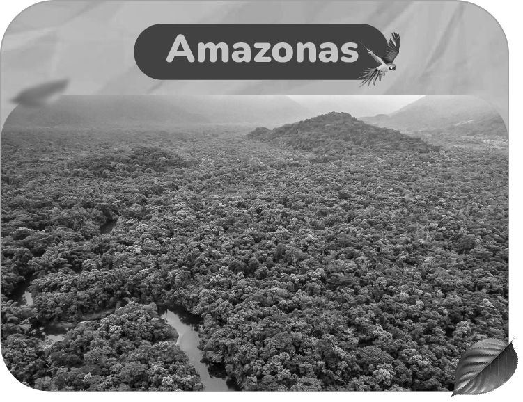 Amazonas