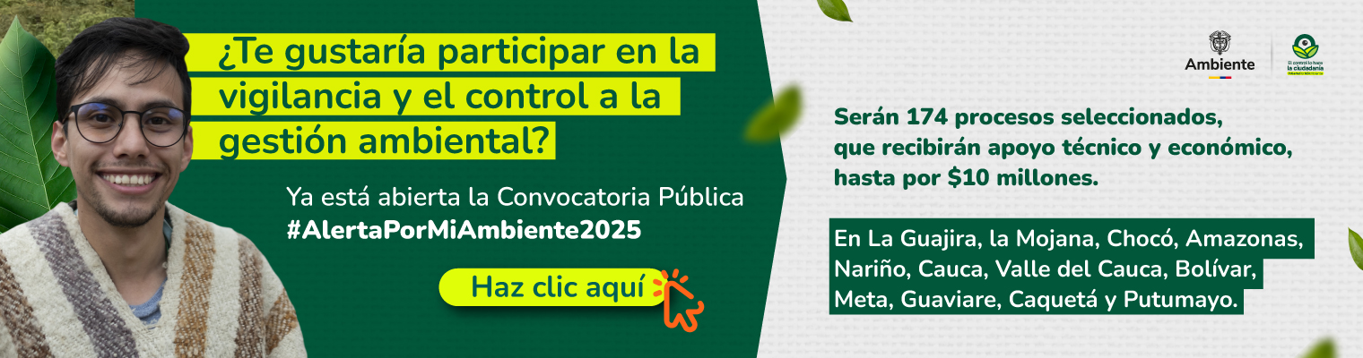 control social 2025