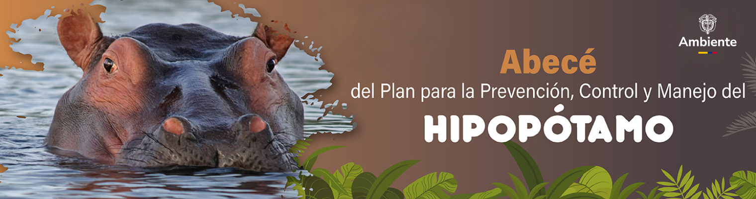BANNER_HIPOPOTAMOS
