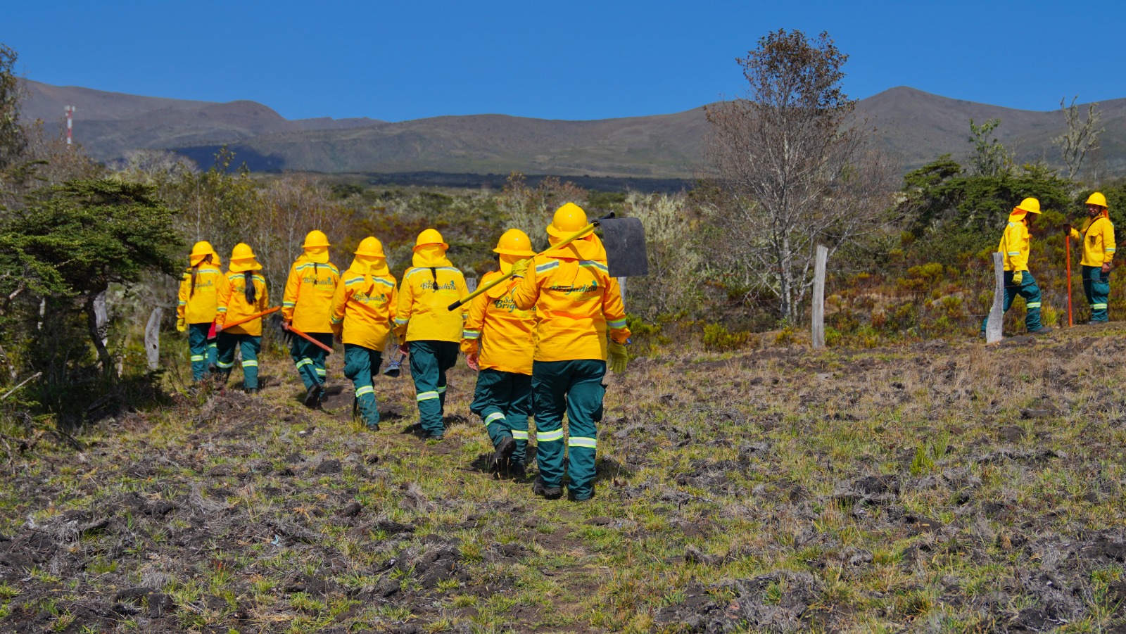 Brigadas comunitarias salvan más de 10.200 hectáreas de ser consumidas por incendios forestales