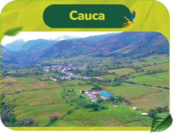 Cauca-Territorio