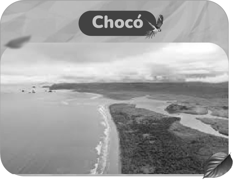 Choco