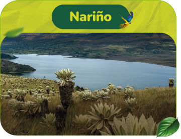 Narino-Boton-Territorios