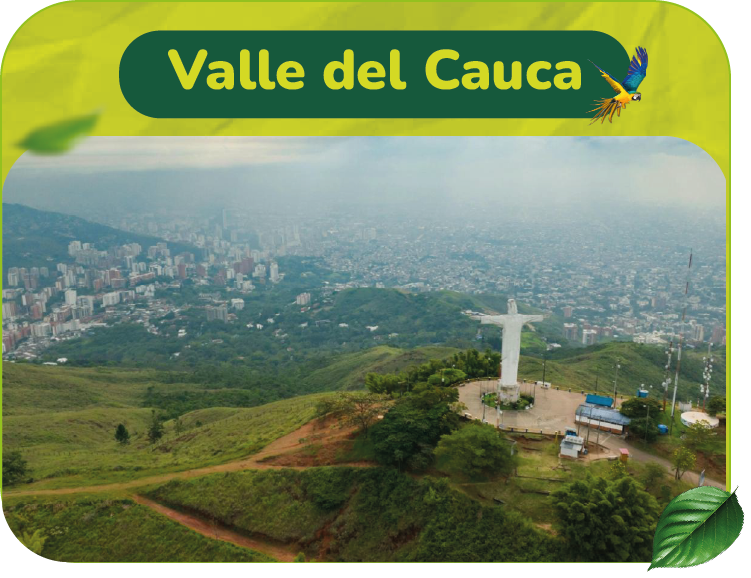 T VALLE DEL CAUCA