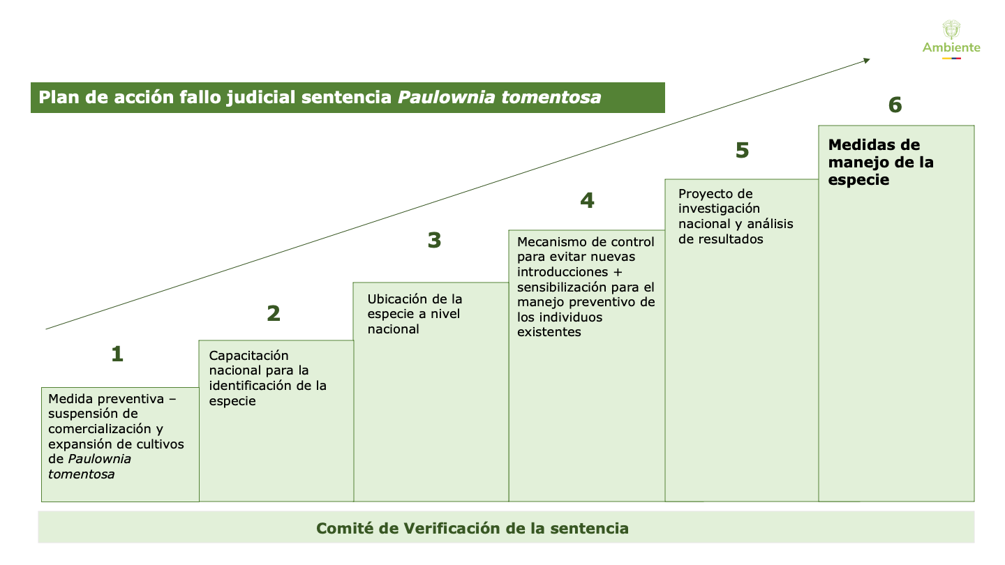 Plan de accion fallo judicial - Paulownia