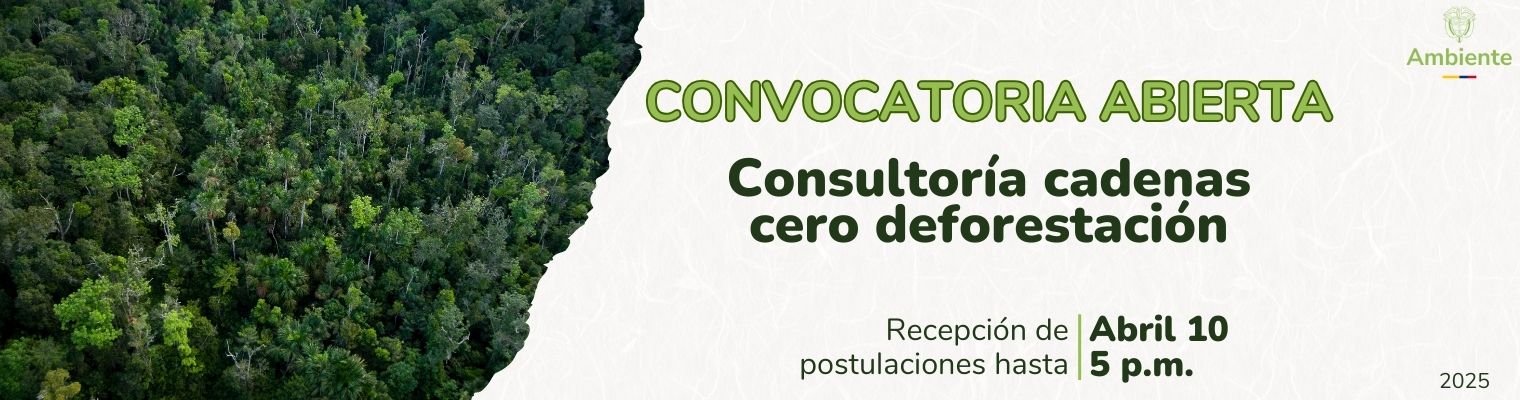 Consultoria cero deforestacion