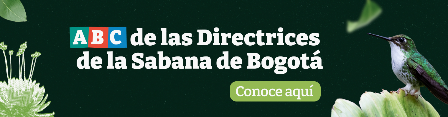 ABC Octubre