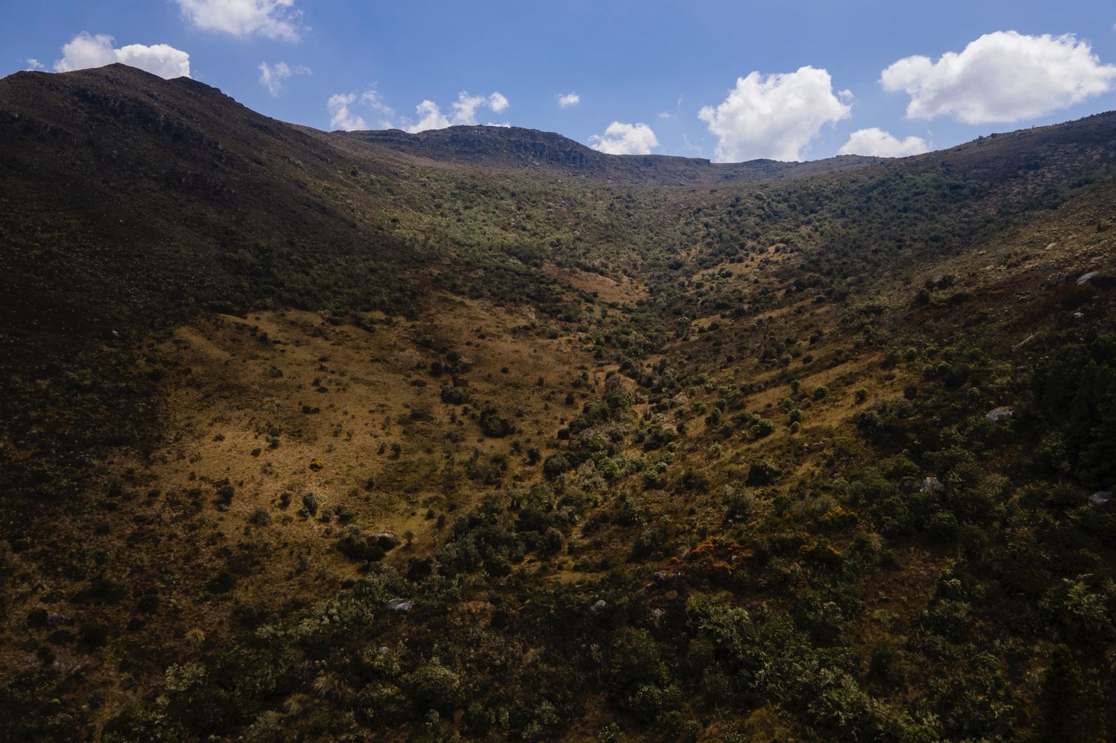 “Vamos por buen camino en la delimitación del páramo Cruz Verde-Sumapaz”: Minambiente “Vamos por buen camino en la delimitación del páramo Cruz Verde-Sumapaz”: Minambiente