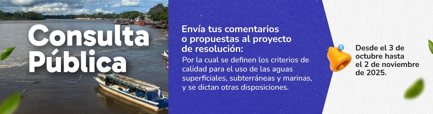 consulta hidrico