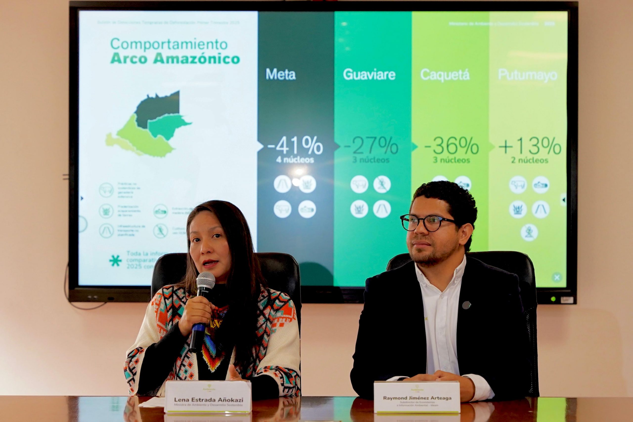 La deforestación cayó 33% en la Amazonía en el primer trimestre de 2025: Minambiente