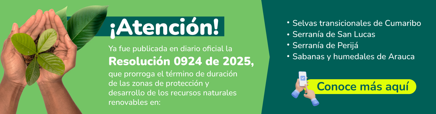 Resolución 0924
