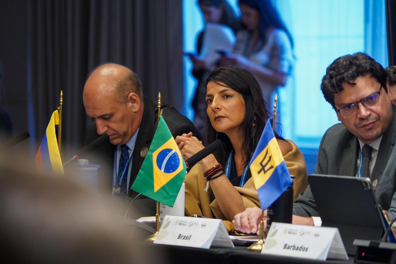 Ministra Irene Vélez Torres pide en México una agenda común de América Latina rumbo a la COP30