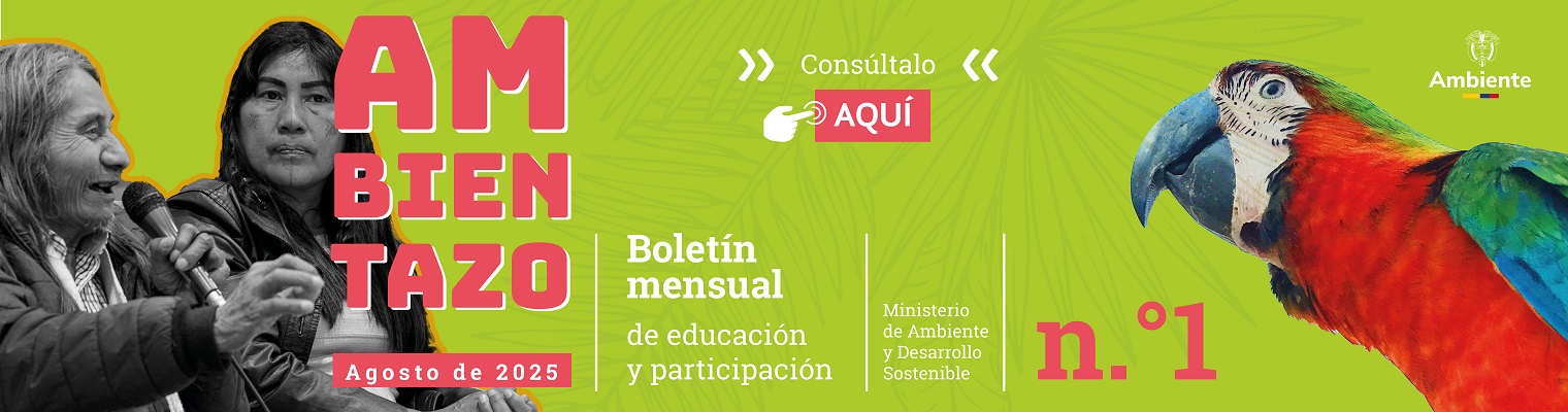 boletin sep