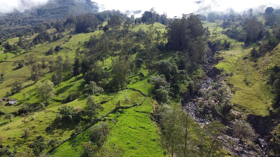 Tribunal de Bucaramanga anuló sanción económica contra el Ministerio de Ambiente Tribunal de Bucaramanga anuló sanción económica contra el Ministerio de Ambiente