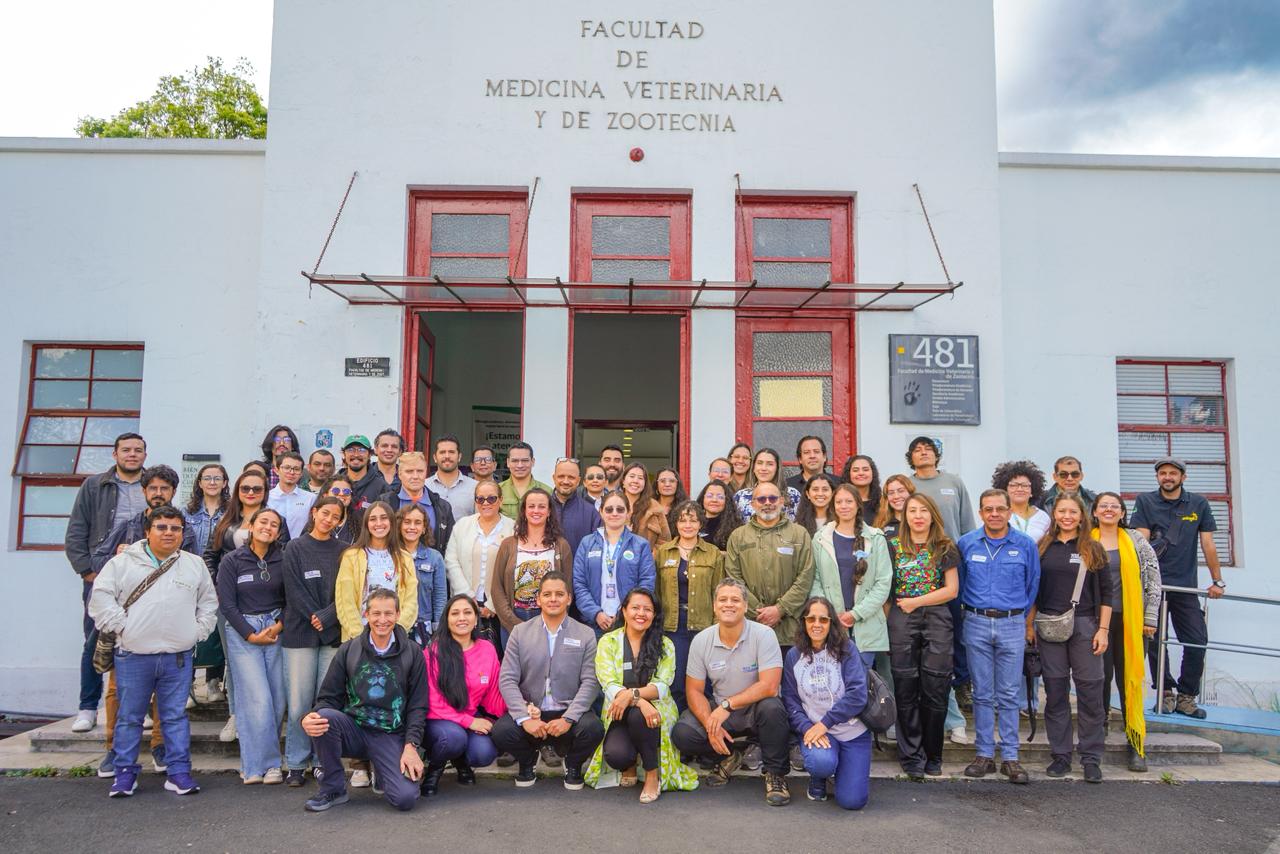 Felinos de los Andes en la agenda: Bogotá lidera taller regional para su conservación Felinos de los Andes en la agenda: Bogotá lidera taller regional para su conservación