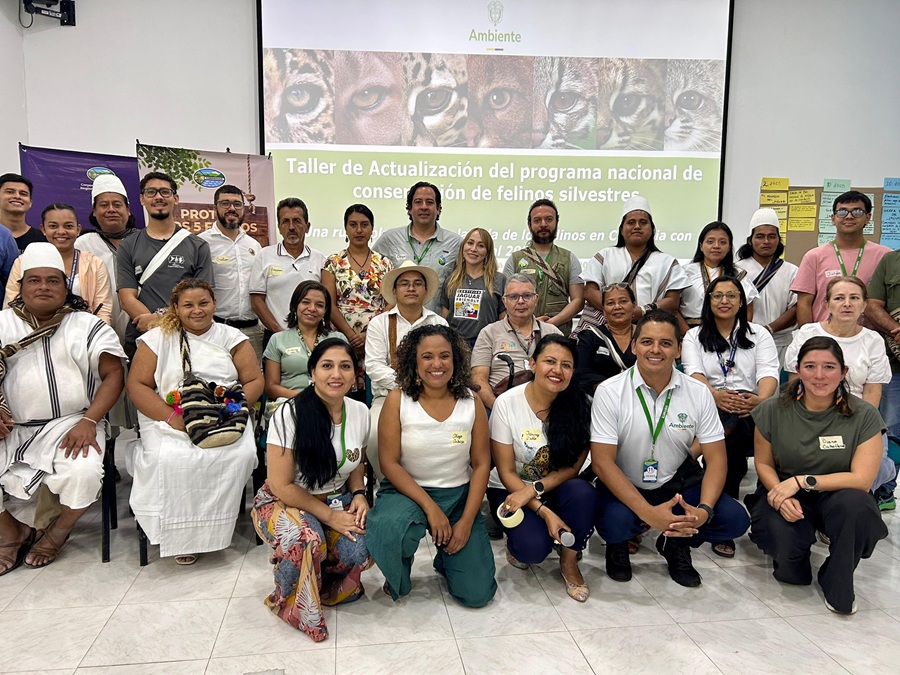 Pueblos indígenas y autoridades ambientales construyen ruta de conservación de felinos en el Caribe
