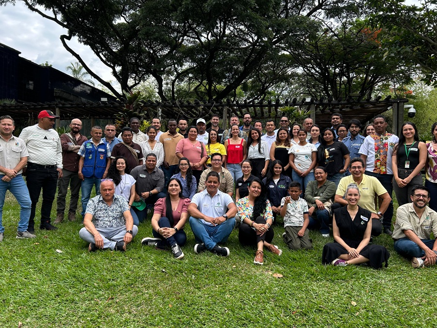 Colombia cerró en Cali los talleres regionales de la gira nacional Colombia Felina Colombia cerró en Cali los talleres regionales de la gira nacional Colombia Felina