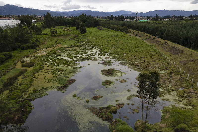 Colombia lidera resolución global para proteger humedales urbanos y periurbanos
