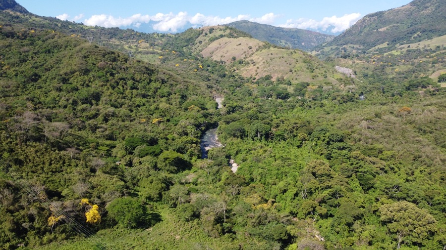 Avanza delimitación del páramo de Santurbán: 10 municipios alcanzan acuerdos de concertación Avanza delimitación del páramo de Santurbán: 10 municipios alcanzan acuerdos de concertación