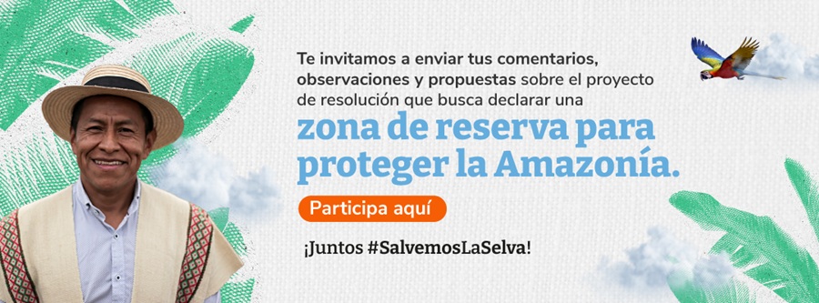 Zona de reservas Amazonía