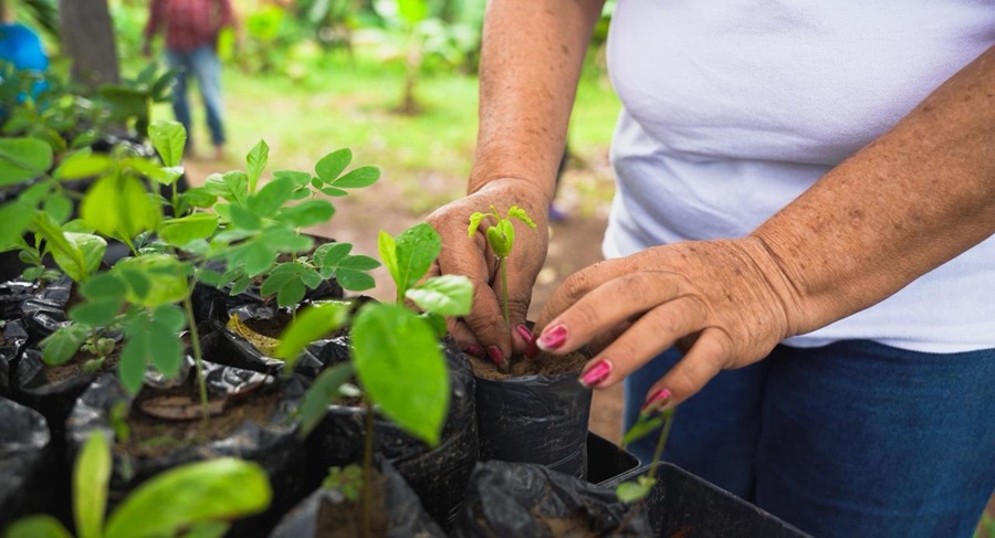 Miniambiente avanza con rigor y transparencia en reglamentación de Ley de Áreas de Vida