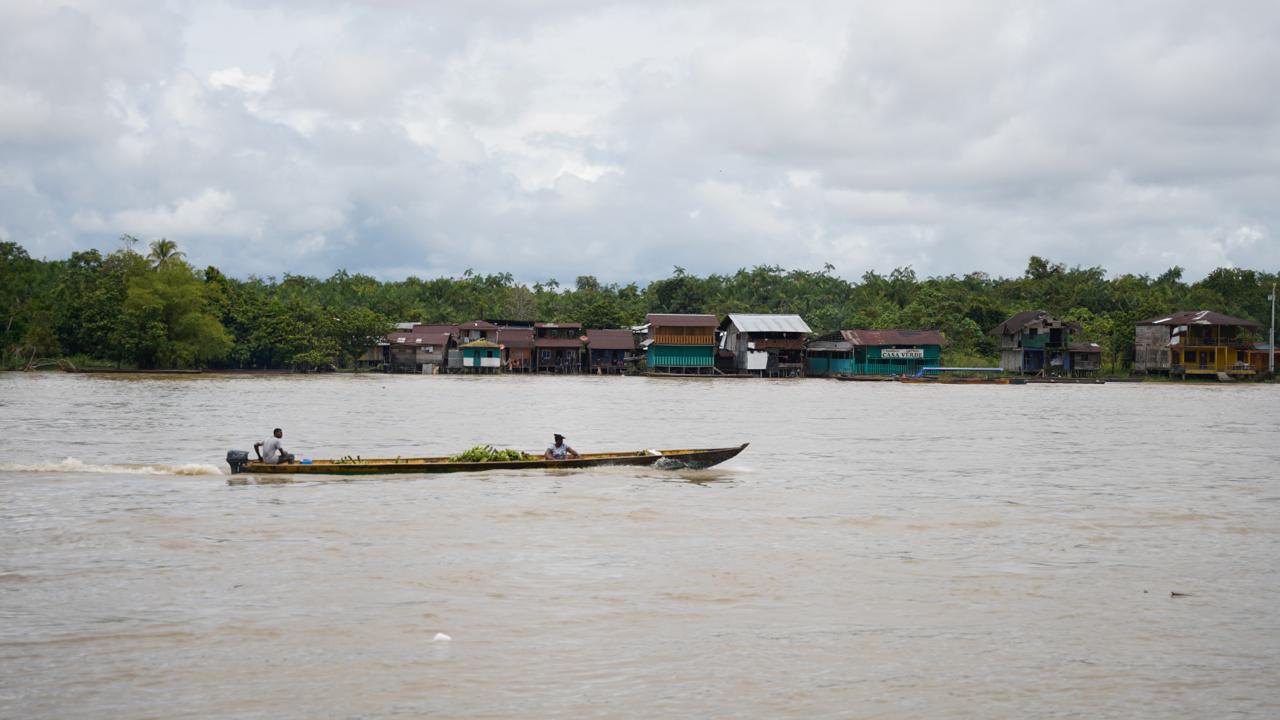 Minambiente y comunidades del Chocó restaurarán 300 hectáreas en el río Atrato