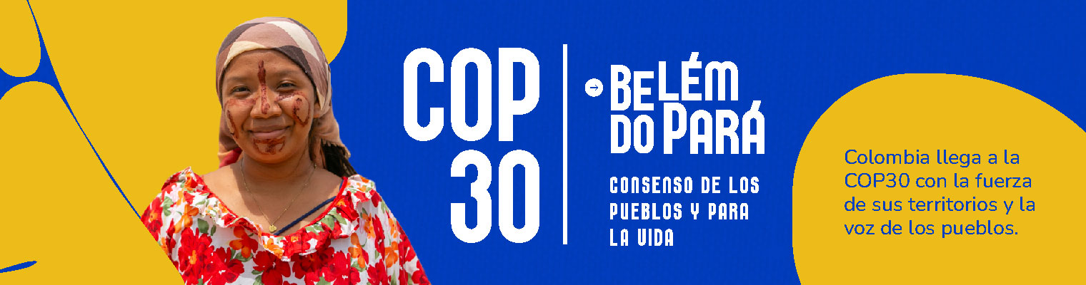 Cop30