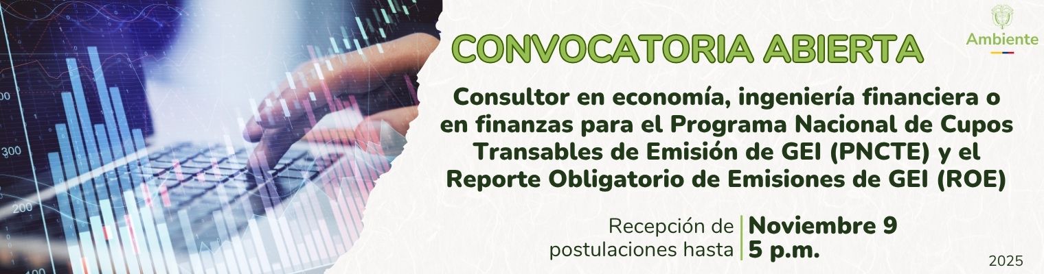 Banner convocatoria Consultor economista